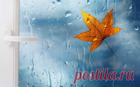 105715847_1.jpg (Изображение JPEG, 1680 × 1050 пикселов)