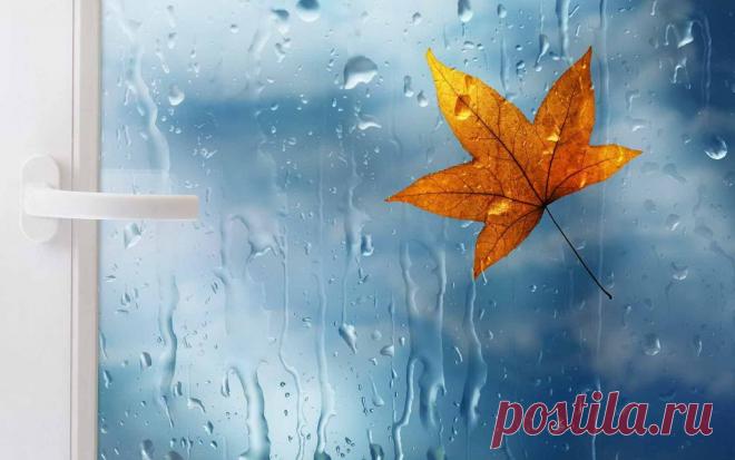 105715847_1.jpg (Изображение JPEG, 1680 × 1050 пикселов)