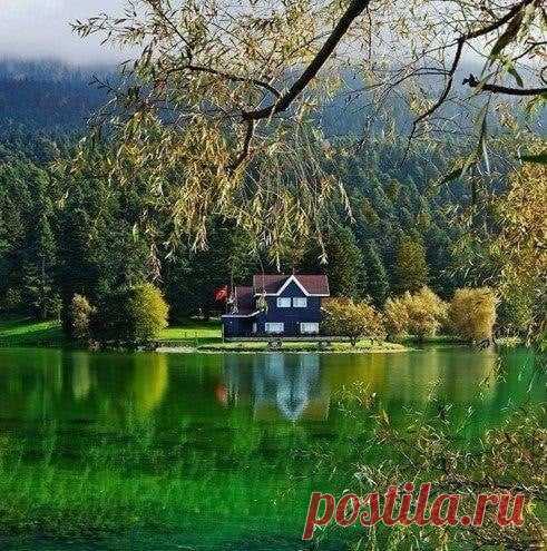 (2) Facebook
