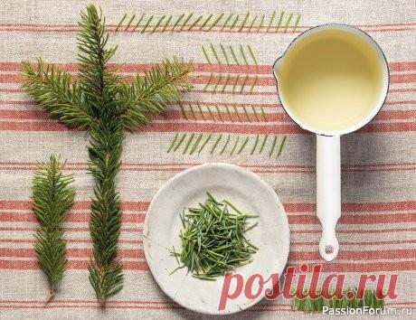 Дачникам. Эффективные и натуральные способы избавиться от тли Тля &mdash; крошечный, но настырный вредитель, который высасывает сок из растений, скручивает листья и может за считаные дни превратить пышную зелень в жалкое зрелище. Химия &mdash; не единственный выход. На помощь придут проверенные народные средства: безопасные, доступные и при этом...