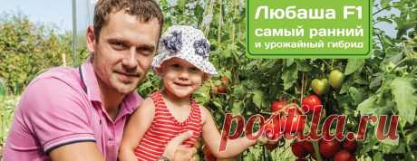 Интернет магазин семян почтой по России - овощей, цветов, саженцев каталог 2017-2018 официальный сайт - семена Партнер, Семко