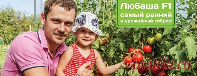 Интернет магазин семян почтой по России - овощей, цветов, саженцев каталог 2017-2018 официальный сайт - семена Партнер, Семко