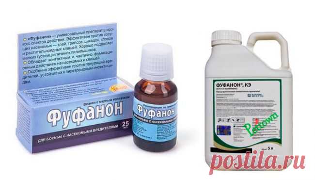 Фуфанон: КЭ, Нова, инструкция по применению, отзывы, препарат для комнатных растений, инсектицид для деревьев, фото