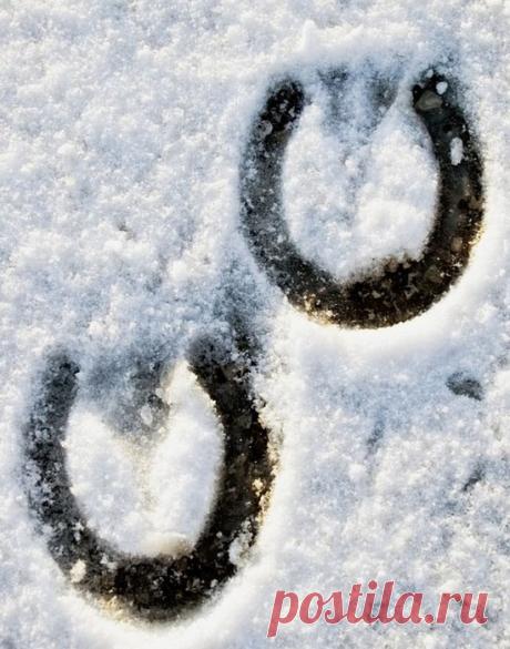 Тайны, которым учёные пока не могут дать объяснения