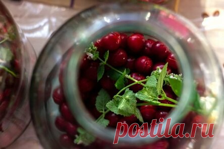 Компот из вишни с мятой на зиму