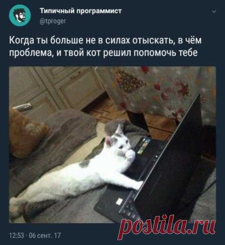 Самые прикольные фотомемы дня
