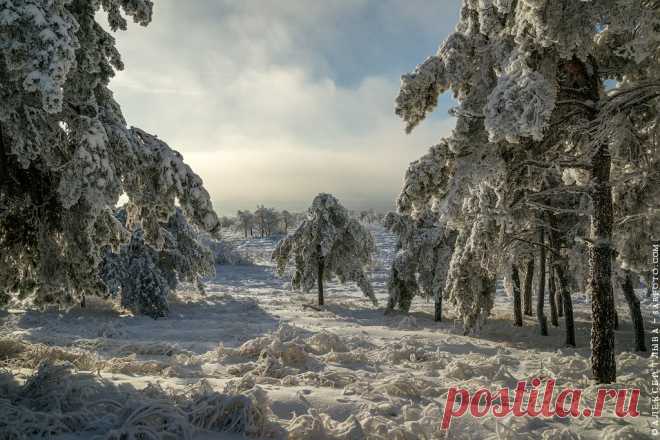 Саратов. Кумысная поляна.