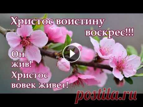 Христос воскрес! С праздником Пасхи! Музыкальная открытка #поздравлениенапасху#пасхальноепоздравление#открытканапасху#музыкальнаяоткрытканапасху#пасха#христосвоскрес#красиваяоткрытка#спраздникомпасхи#открытка...
