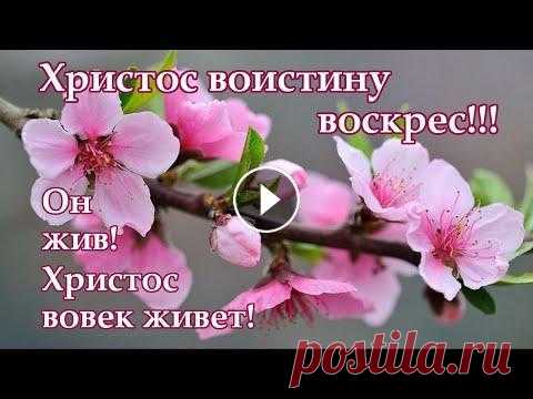 Христос воскрес! С праздником Пасхи! Музыкальная открытка #поздравлениенапасху#пасхальноепоздравление#открытканапасху#музыкальнаяоткрытканапасху#пасха#христосвоскрес#красиваяоткрытка#спраздникомпасхи#открытка...