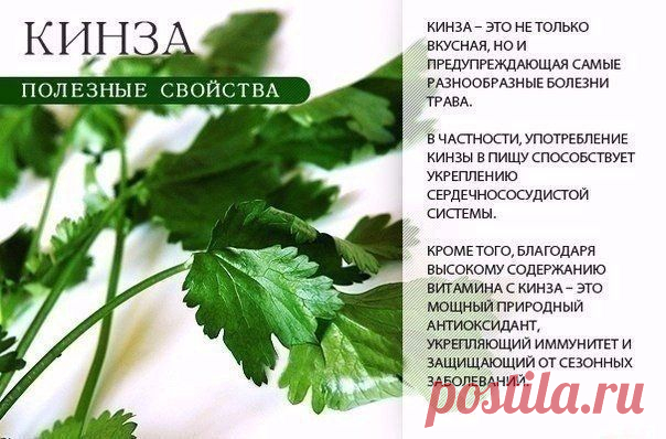НА ЗАМЕТКУ!