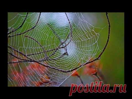 Юрий Пахомов