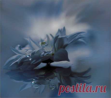 Фотографии на стене сообщества | 32 908 фотографий | ВКонтакте