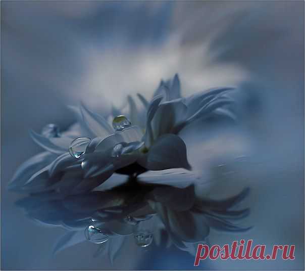 Фотографии на стене сообщества | 32 908 фотографий | ВКонтакте