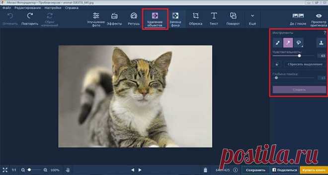 Как сделать фотомонтаж.