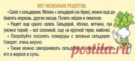 Салаты с сельдереем