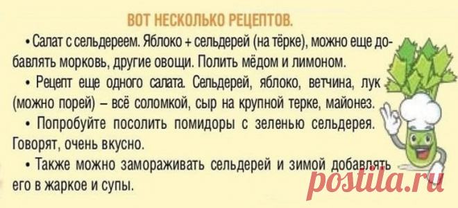 Салаты с сельдереем