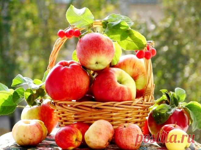 Необычное применение яблок в быту &raquo; Женский Мир