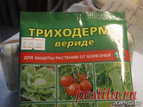 Триходерма. Я ее вырастила!: Группа Наши грядки