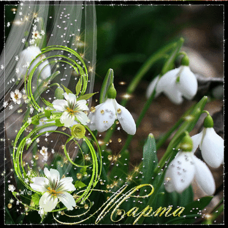 8 Марта подснежник Маме
