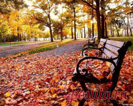Урок.Коллаж из фрагментов картинки.