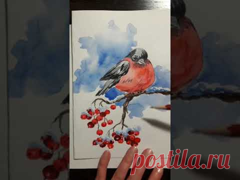 Рисуем снегиря акварелью. Для новичков - YouTube