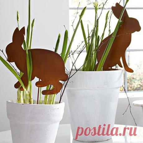 Зайки в вазонах.

Работа в интернете для студентов,пенсионеров,мам в декрете и всех,у кого есть свободных 2-3 часа в день.Без вложения денег.Без продаж. Дополнительная информация yspeshnayya.blogspot.com