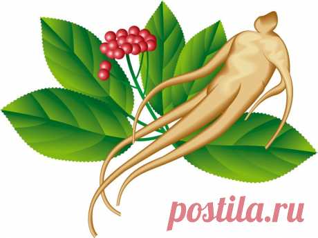 МАЛОКРОВИЕ И ИСТОЩЕНИЕ: ПРИНИМАЕМСЯ ЗА ИСЦЕЛЕНИЕ | Советы Народной Мудрости