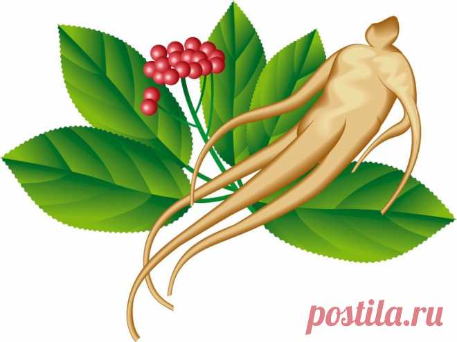 МАЛОКРОВИЕ И ИСТОЩЕНИЕ: ПРИНИМАЕМСЯ ЗА ИСЦЕЛЕНИЕ | Советы Народной Мудрости