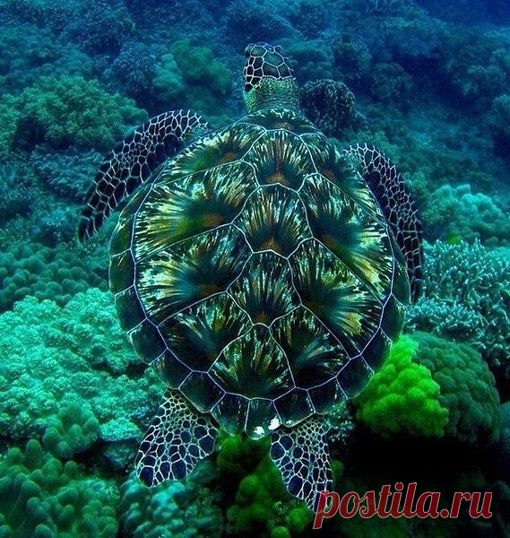 Интересные новости