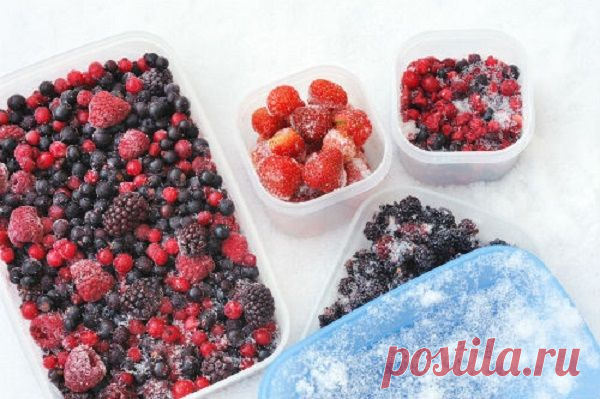 Что нужно знать о заморозке ягод на зиму? — Вкусные рецепты