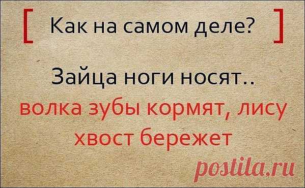 Народная мудрость