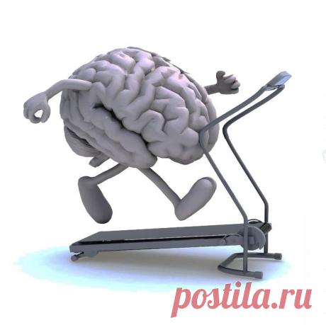 Гимнастика для мозга / Будьте здоровы