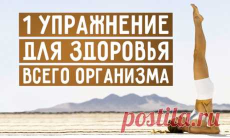 1 упражнение для здоровья всего организма