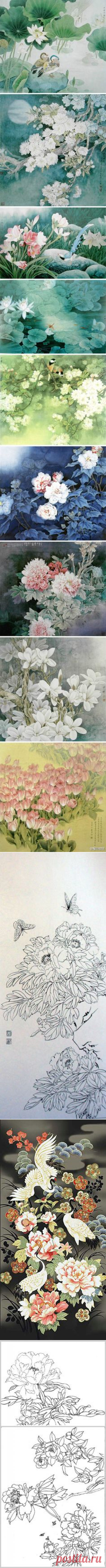 (53) Pinterest