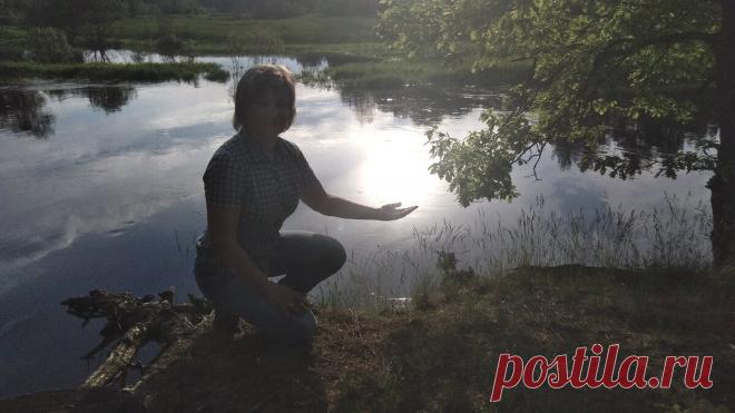 Проверила на себе два старинных способа защиты от комаров и мошки. Оба работают! | Посад | Яндекс Дзен