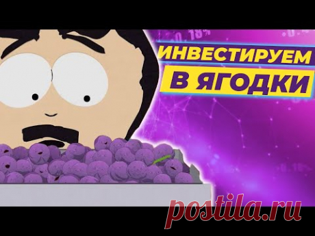 Инвестиции в ягоды: покупаем облигации застройщика / Инвест-Шоу