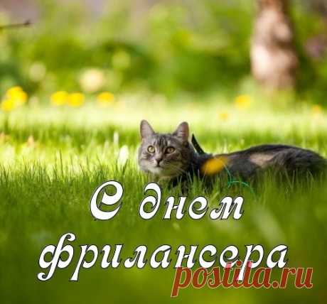 C днем фрилансера поздравляем,
Желаем счастья и любви,
Творить в просторах интернета,
Дела великие свои!