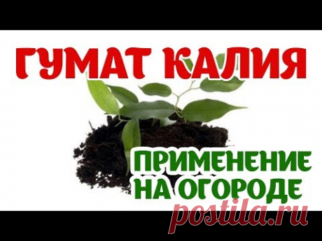 Гумат Калия. Что такое гумат и что он дает почве? Применение