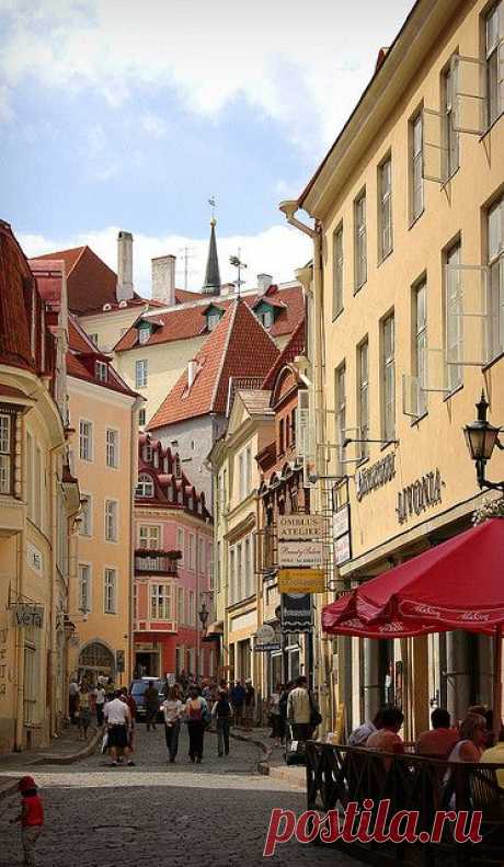 Tallinn, Estonia (THE BEST TRAVEL PHOTOS) 
Tallinn, Estonia  |  Pinterest • Всемирный каталог идей