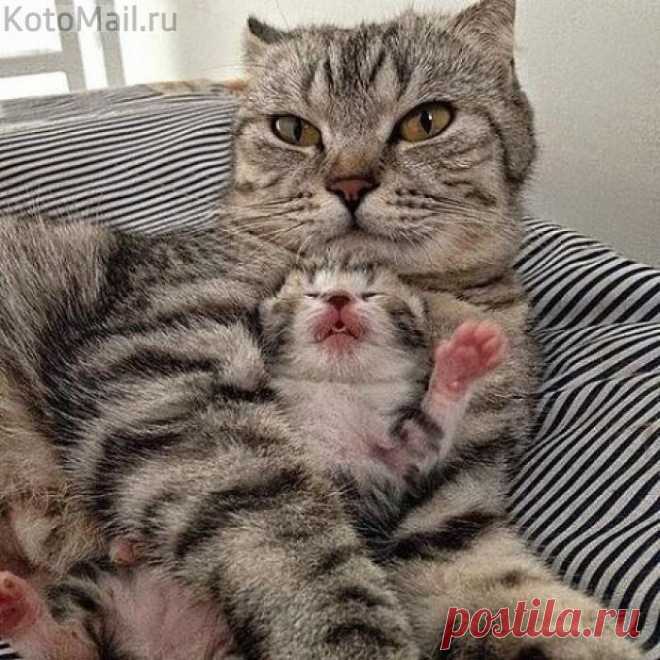 Мамочка