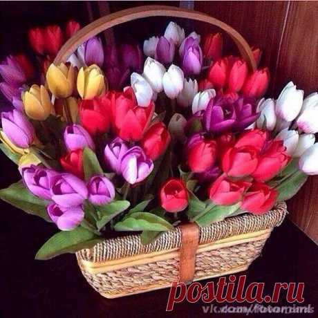 • Лучшие картинки и открытки ► vk.com/fotomimi ◄