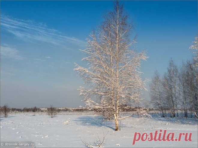 Красивая лыжня