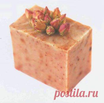 Зимняя роза