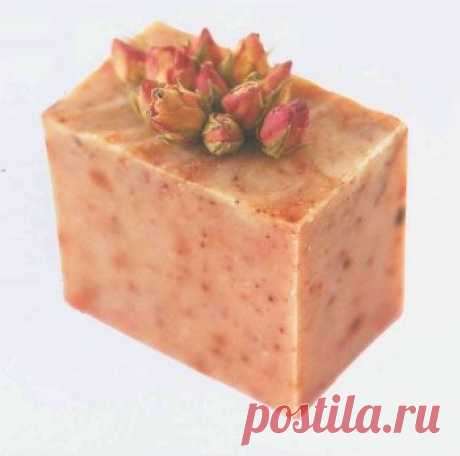 Зимняя роза