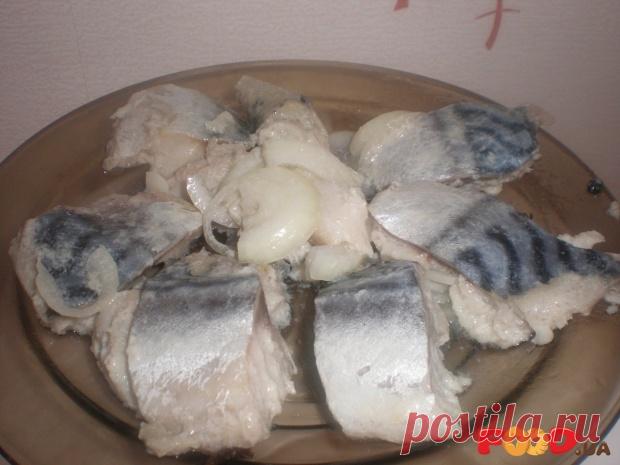 Маринованная скумбрия | TATYANA BESPALOVA - Кулинарные рецепты на Food.ua