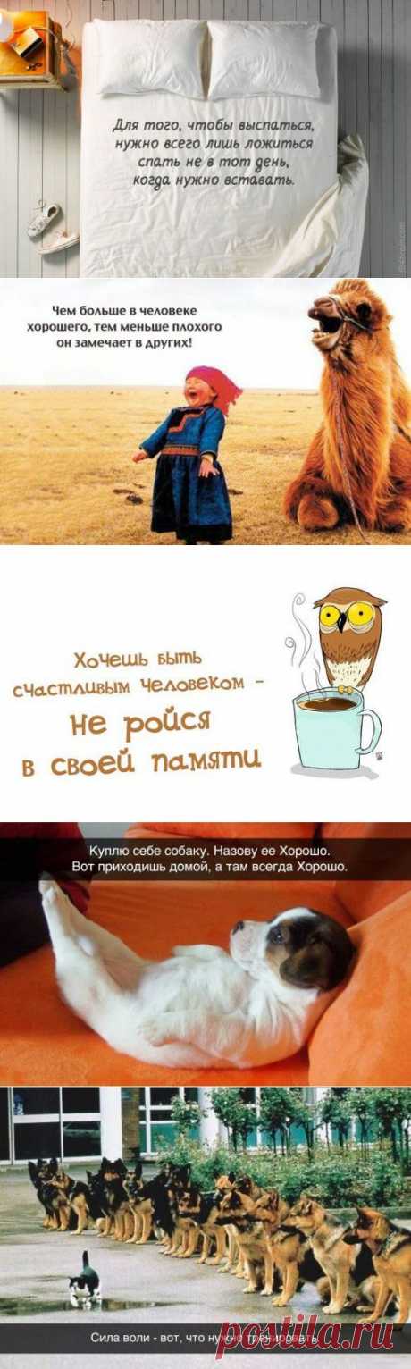 Житейская мудрость в прикольных картинках (23 фото) | Приколисты