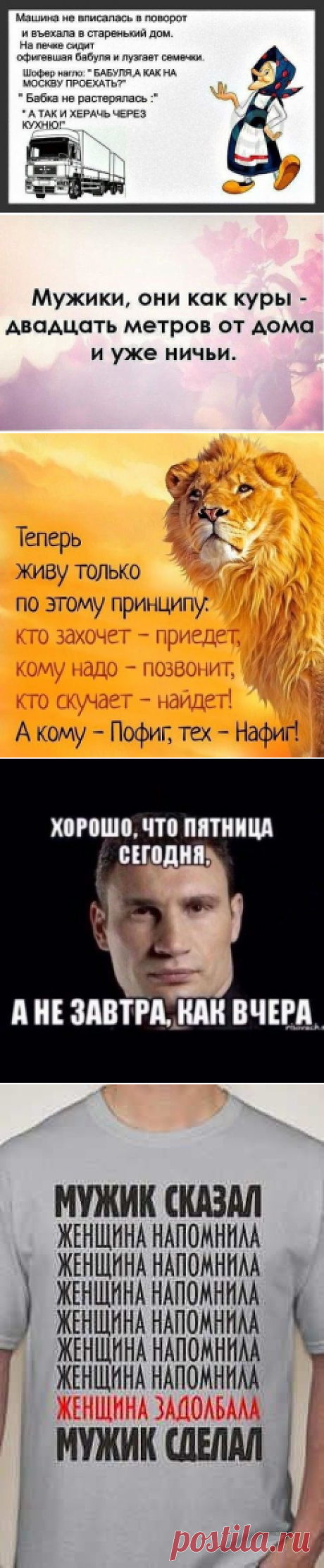 Картинки с юмором: прикольные надписи и фразы | В темпі життя