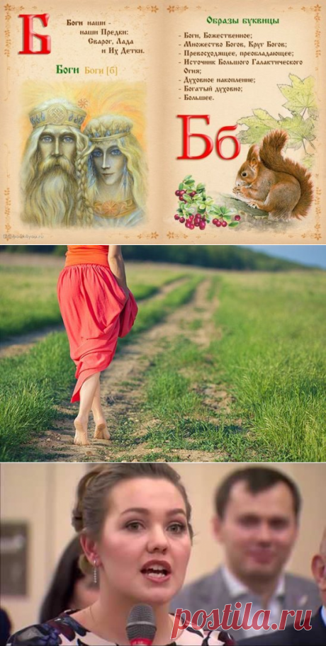 (41) Одноклассники