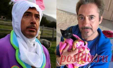 Роберт Дауни-младший превратил поместье в Малибу в настоящий зоопарк | Pentad