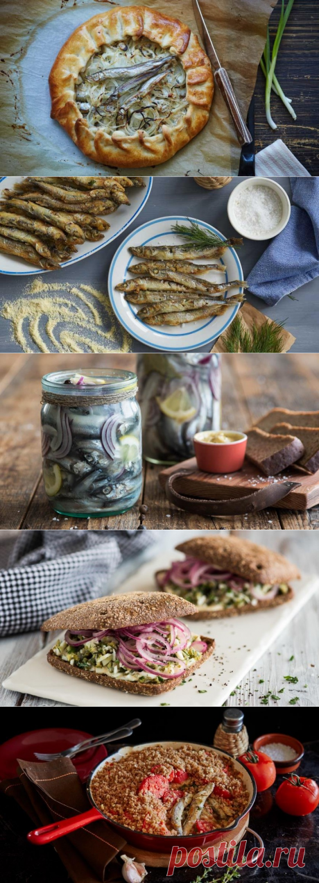 Экономная хозяйка: пять блюд из мойвы — Вкусные рецепты